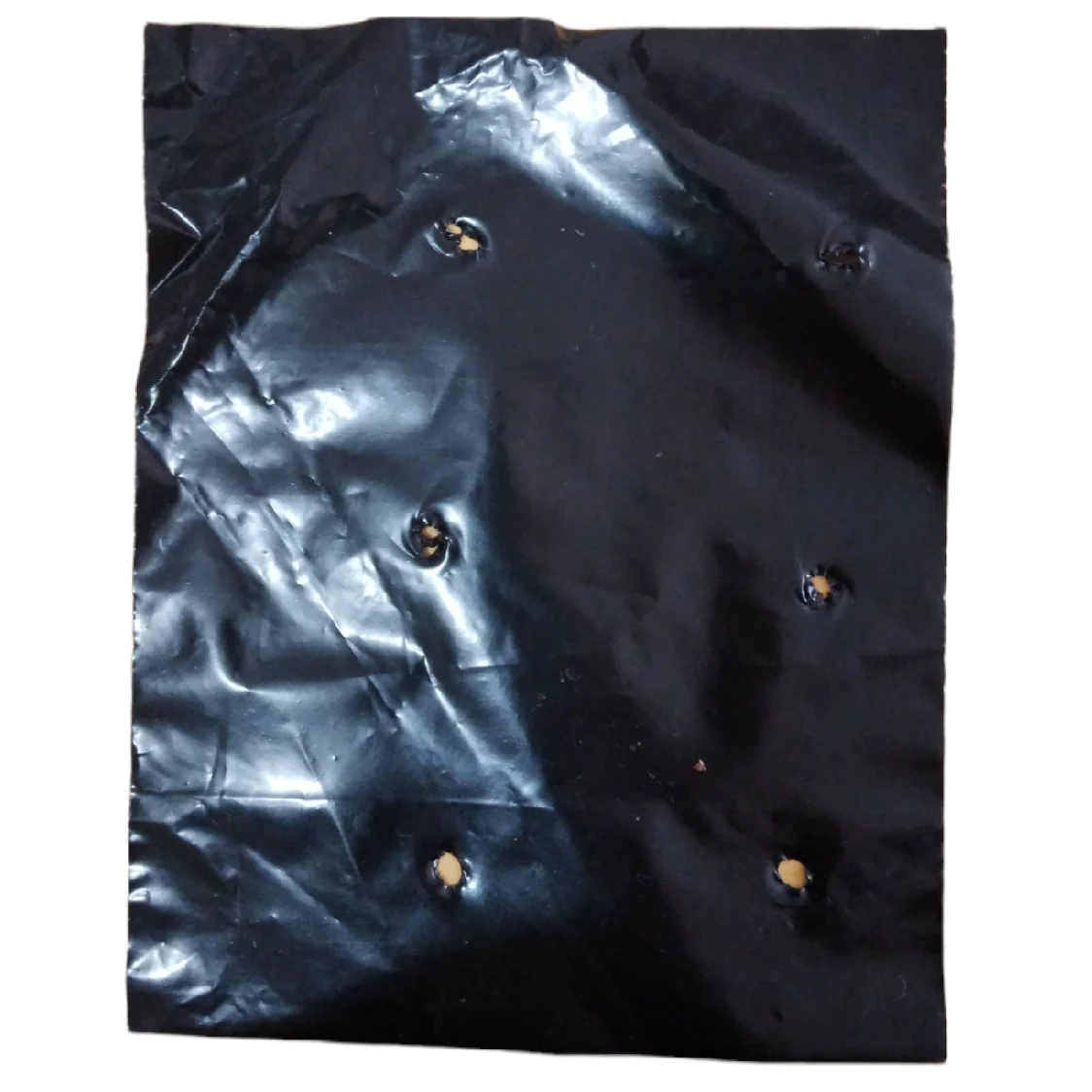 Bolsa Semillera Para Viveros, Color Negro (100 Unidades) - Image 2