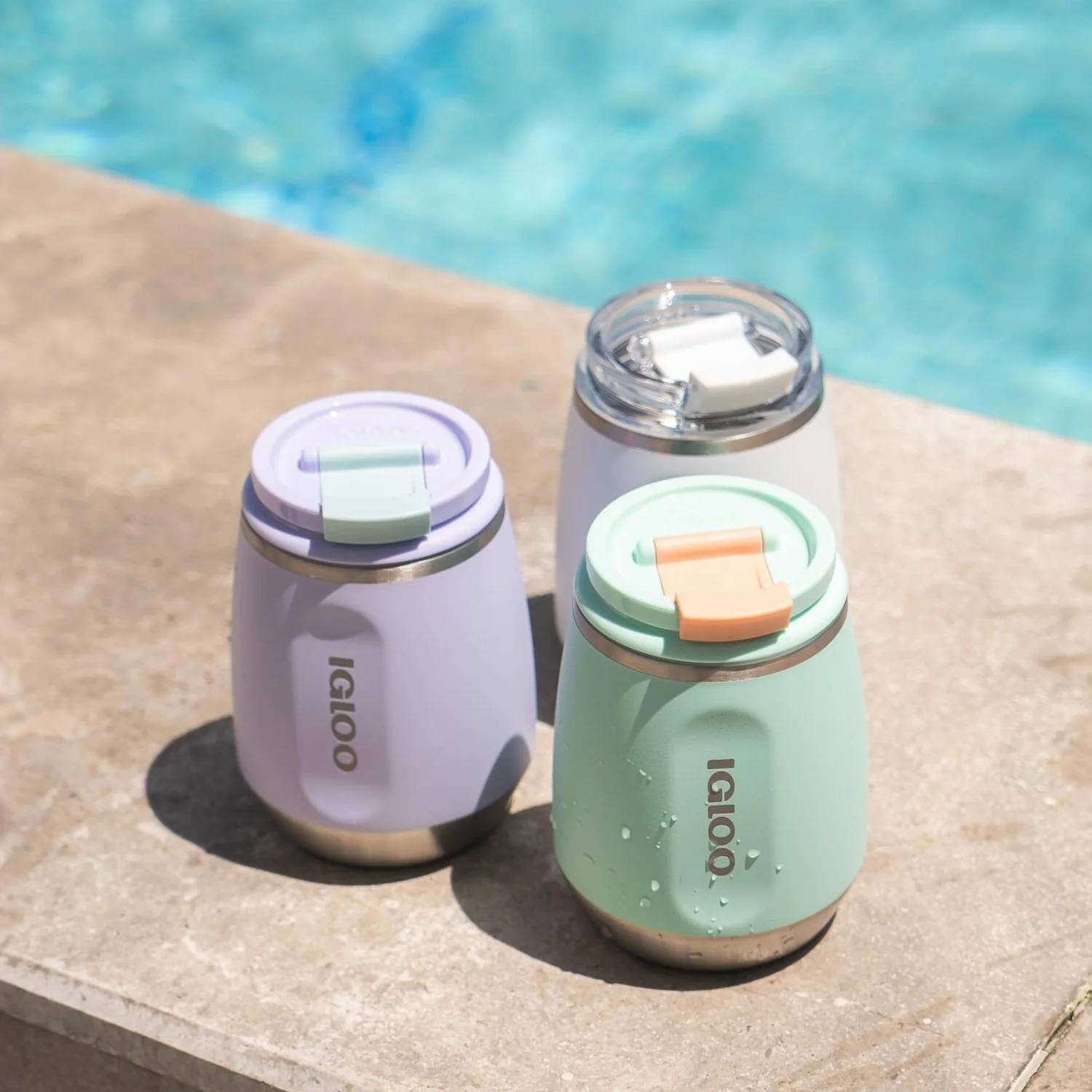 Botella De Agua Vino Termica 10Oz Igloo. Vaso Termico De Acero Inoxidable Para Vino Color Lila. - Image 2