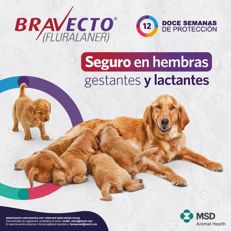 Bravecto De 250Mg Para Perros Pequeños (4.5-10Kg) - Image 2