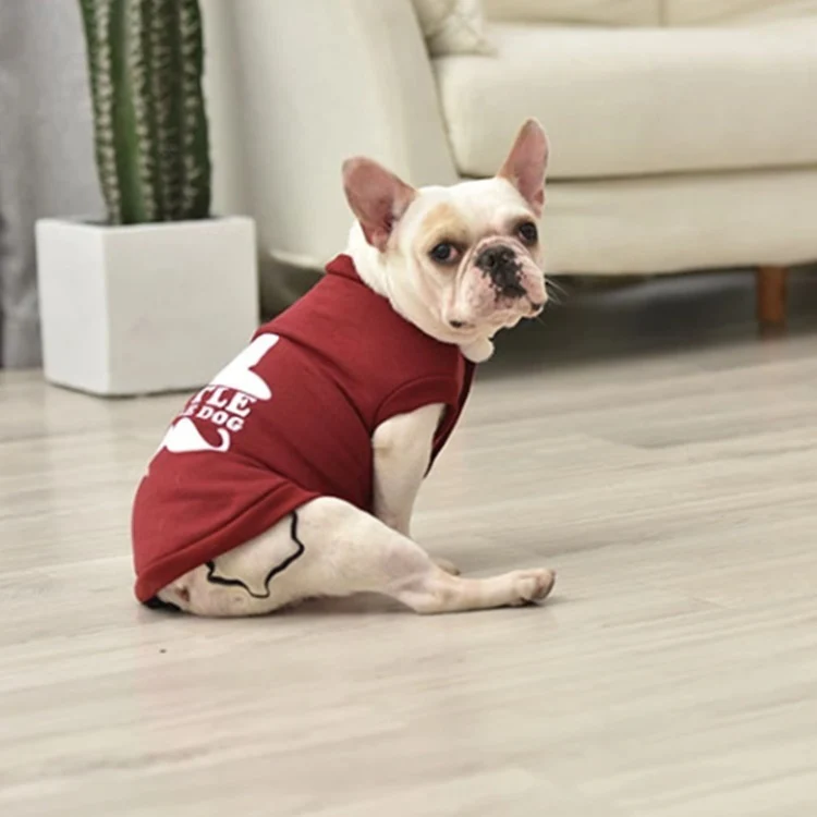 Camisa Ropa De Perro Tshirt Estampado - Image 8