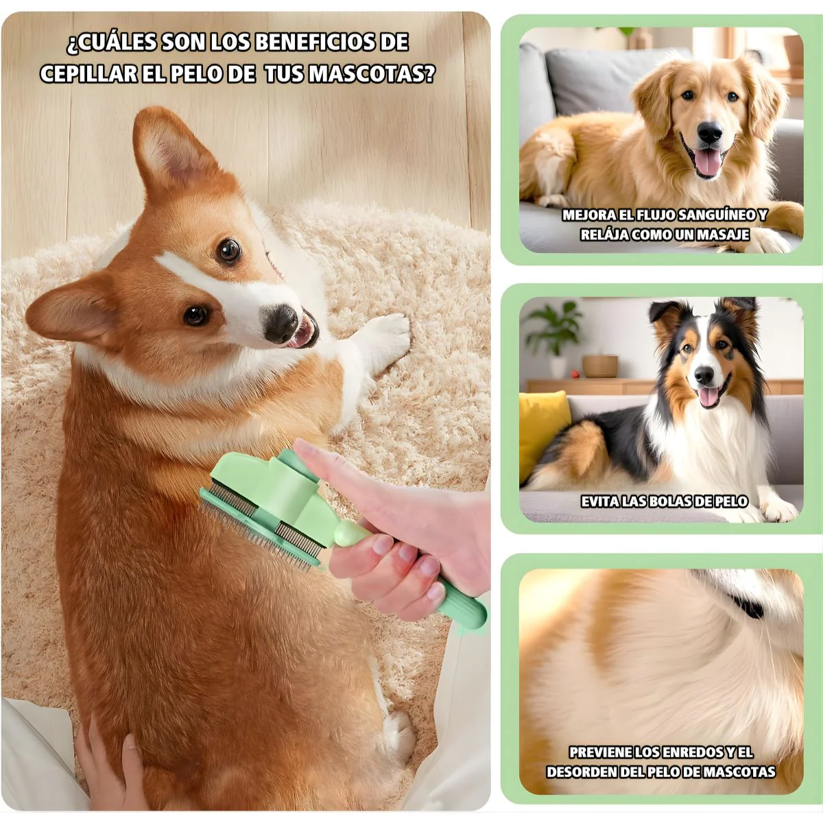 Cepillo Removedor De Pelo Para Mascotas. Peine Con Agujas Mejoradas Para Perros Y Gatos. Desenredante Y Masajeador 20X8x2cm. - Image 3