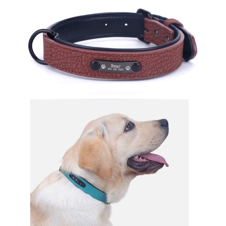 Collar De Cuero Para Mascotas - Image 10