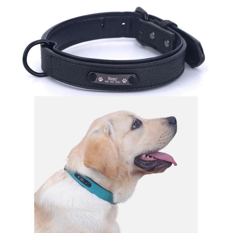 Collar De Cuero Para Mascotas - Image 4