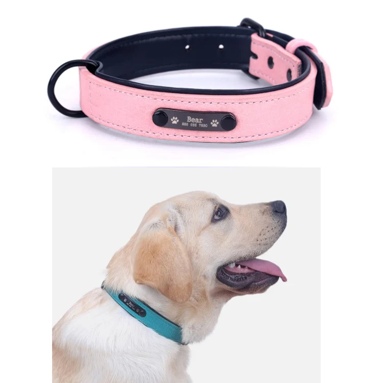 Collar De Cuero Para Mascotas - Image 9