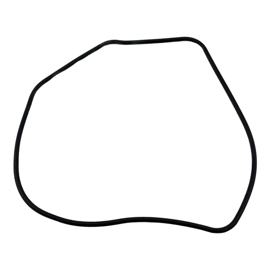 CYLINDER HEAD COVER O RING  (BLOG 150)