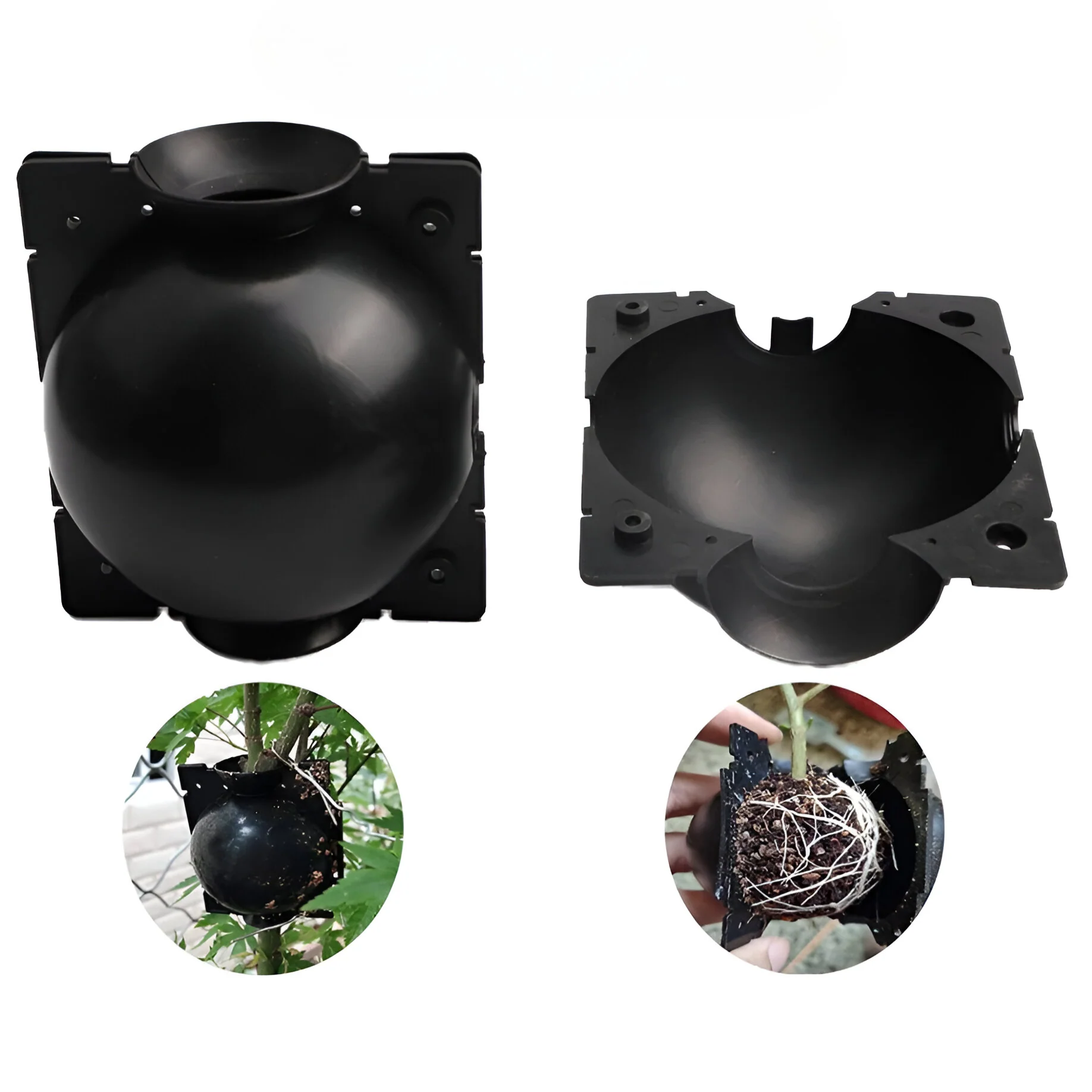 Dispositivo Para Enraizamiento De Plantas Y Árboles. (1 Und)