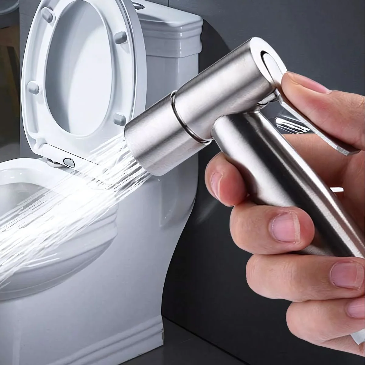 Ducha Sanitaria Tipo Teléfono. Acero Inoxidable.