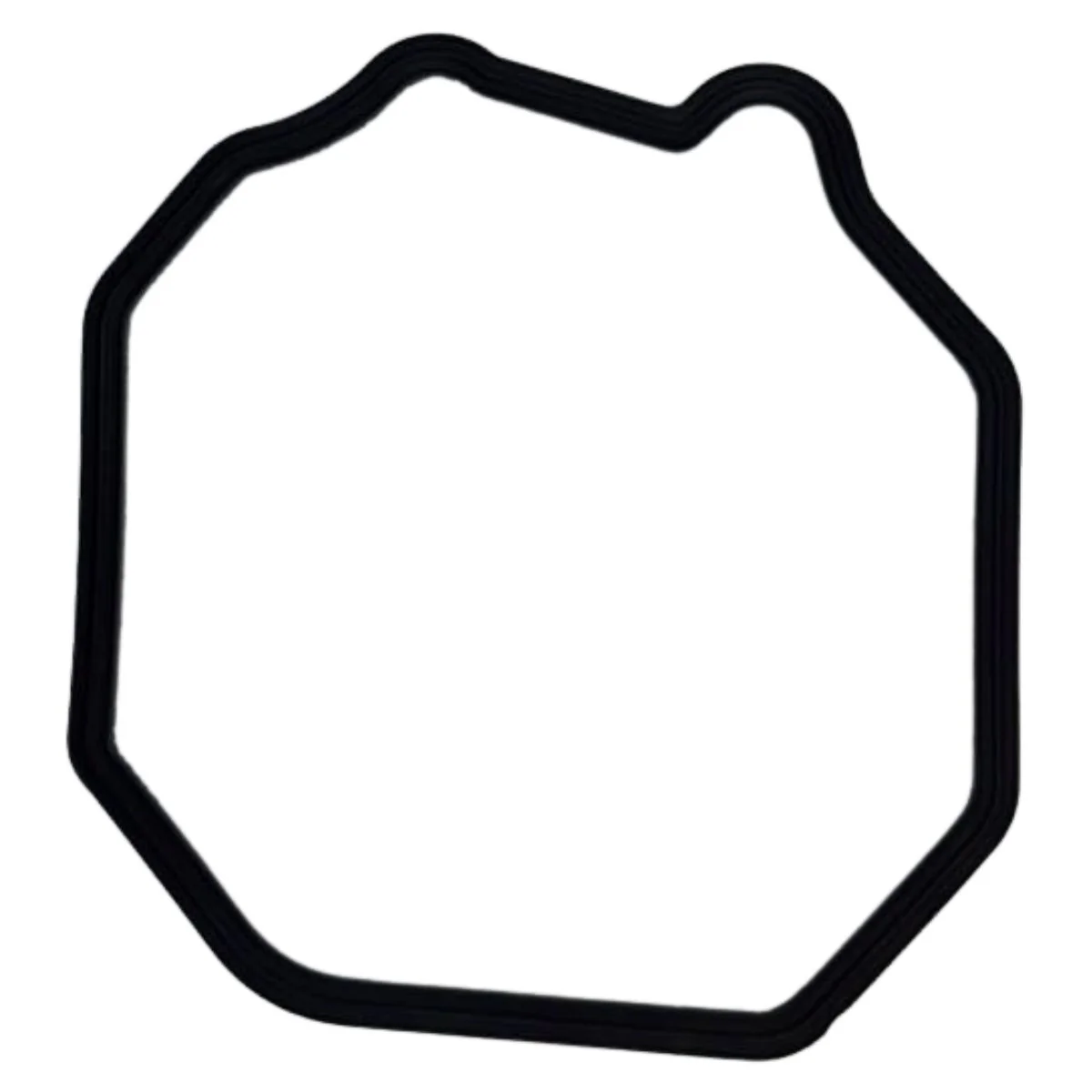 Empacadura De La Tapa De Cilindro (TNT135)