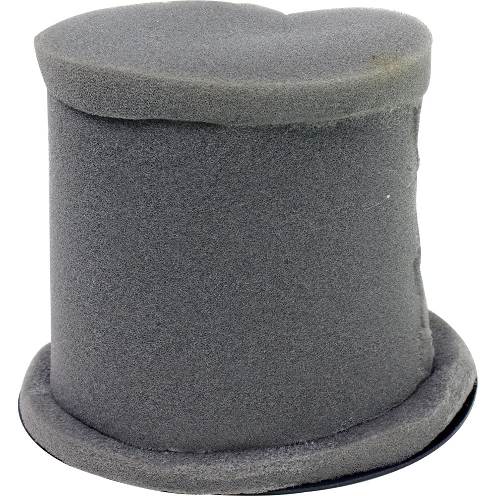 Filtro De Aire (LEONCINO250 / TNT25 / TRK251)