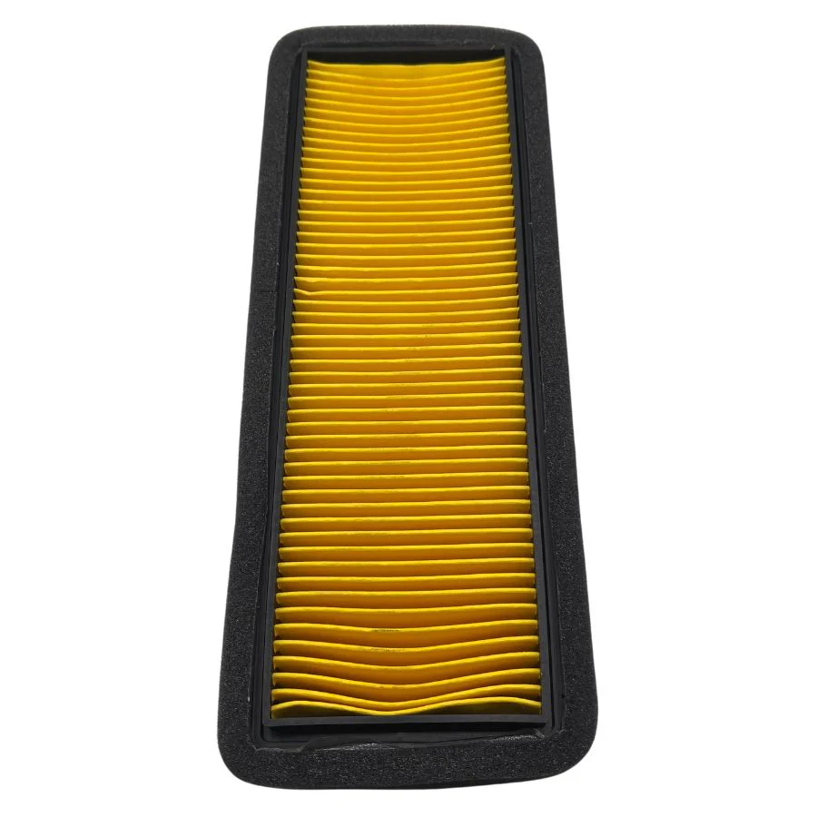 Filtro De Aire (Leoncino800trail)