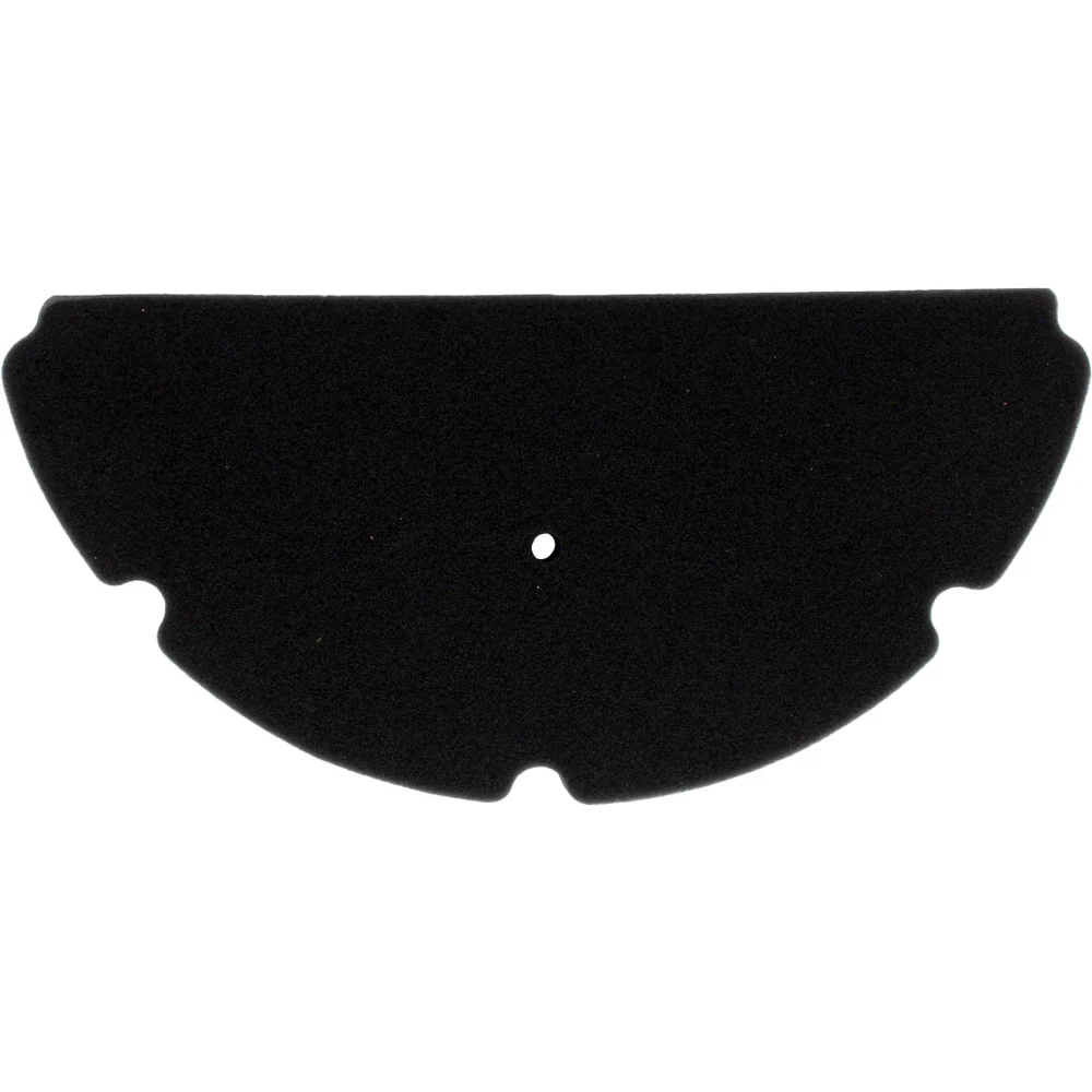 Filtro De Aire (TNT600)