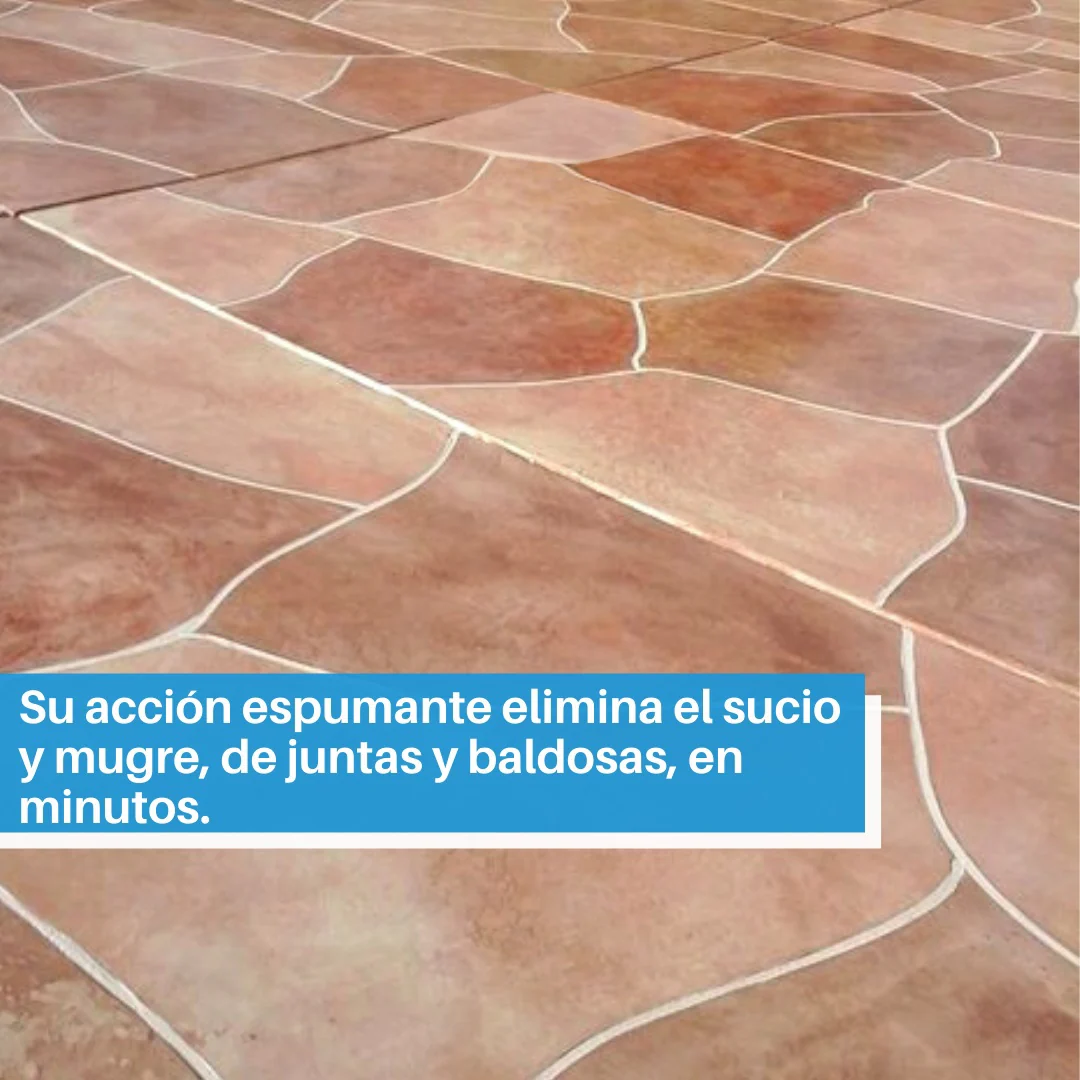 Limpiador Desinfectante LPC-85 Para Ceramica Y Porcelana, 1 Litro. - Image 3