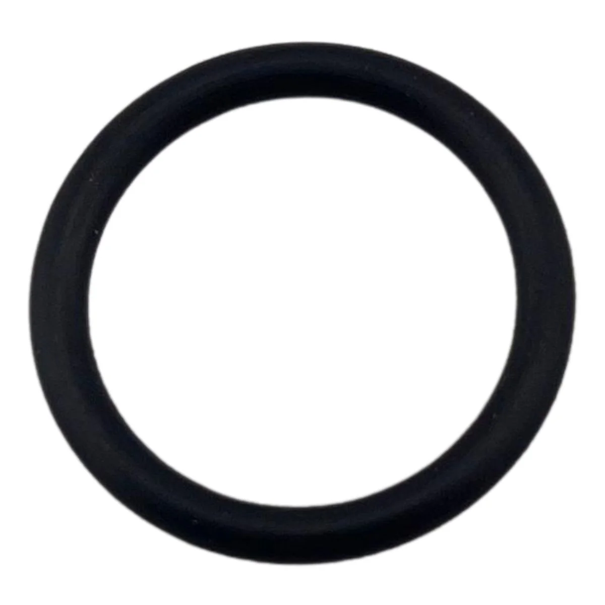 O Ring 19X2.65 (TNT150)