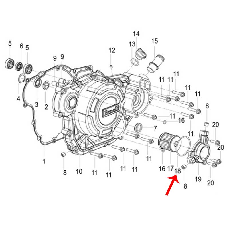 O Ring (LEONCINO250 / TNT25 / TRK251) - Image 3