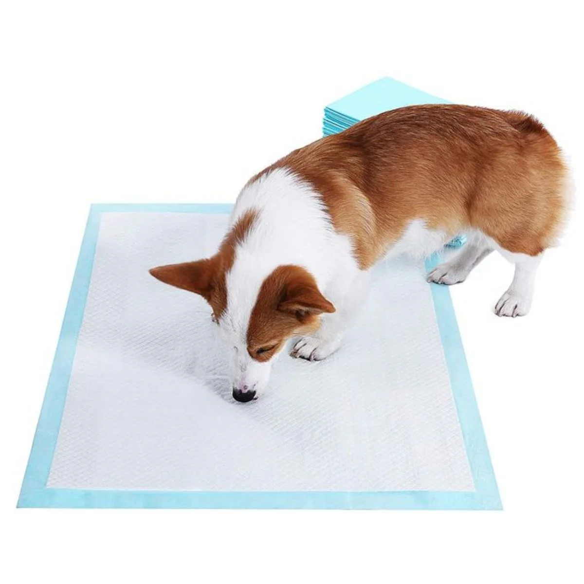 Pads De Entrenamiento Desechables Para Perros Mascotas 45Cm X 60Cm. (Pack De 50 Unidades) - Image 2