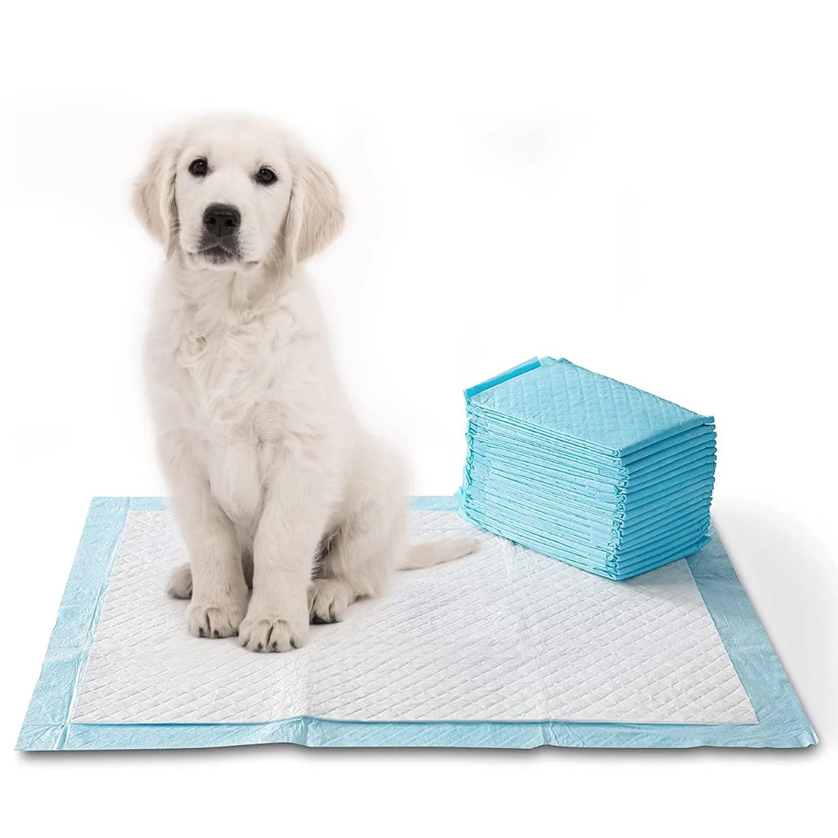 Pads De Entrenamiento Desechables Para Perros Mascotas 45Cm X 60Cm. (Pack De 50 Unidades)