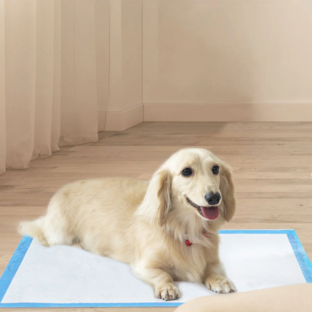 Pads De Entrenamiento Desechables Para Perros Mascotas 45Cm X 60Cm. (Pack De 50 Unidades) - Image 3