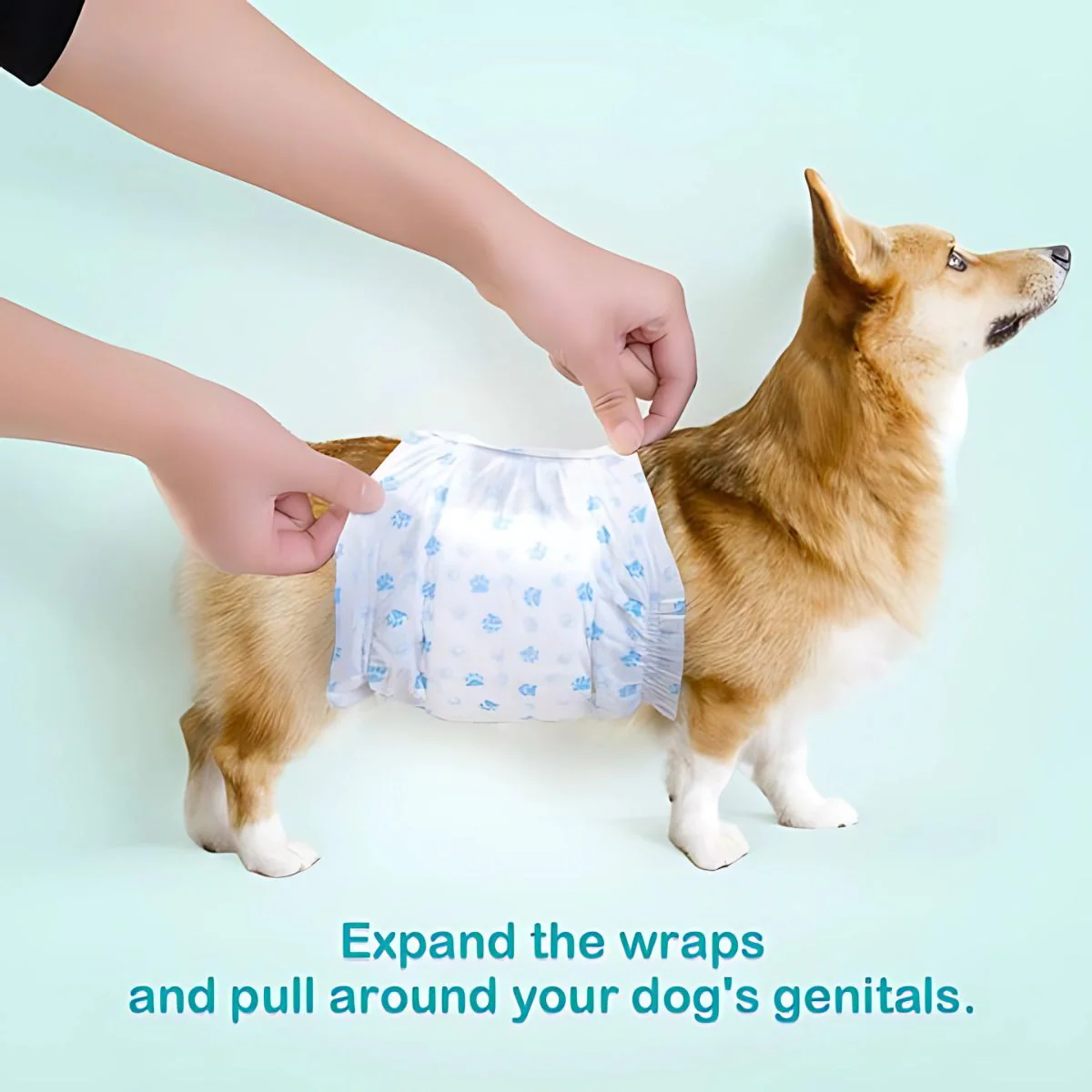 Pañales Desechables Para Perros Machos. Talla S (30-48Cm). Super Absorbente. (Pack De 12 Unidades) - Image 4