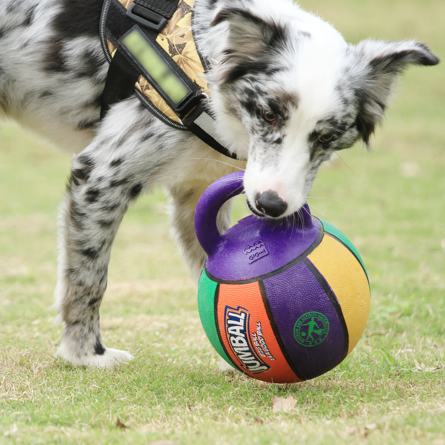 Pelota JUMBALL Small Multicolor Para Mascota - Image 2