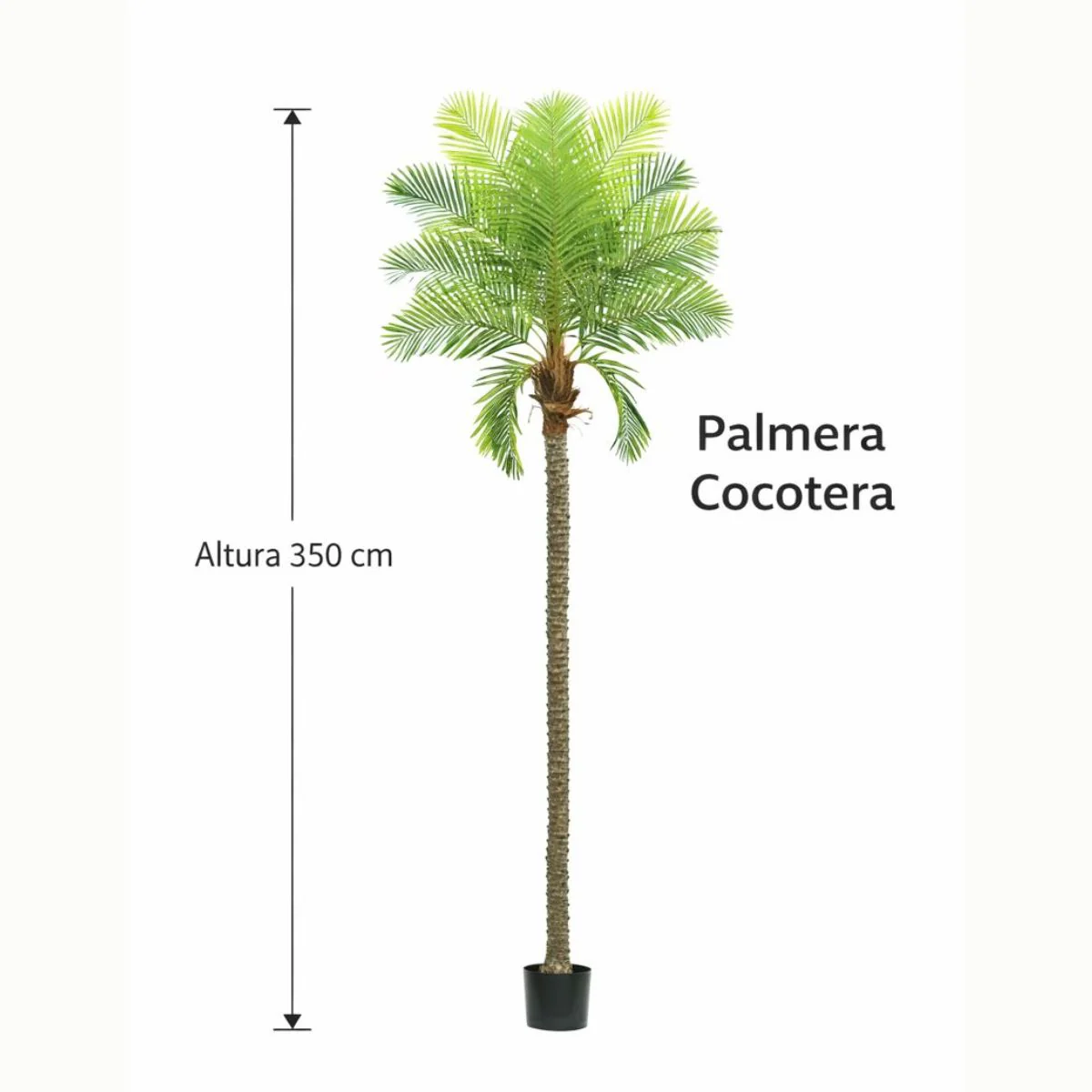 Planta De Coco Artificial Para Interior. Cocotero Decorativo. Altura De 350Cm. - Image 2