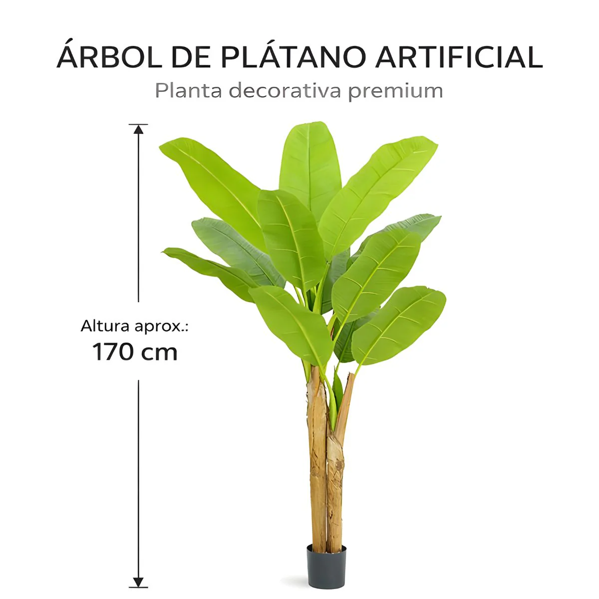 Planta De Plátano Artificial Decorativo Para Interior. Árbol Platanero Artificial Para Interiores 170 Cm. - Image 2