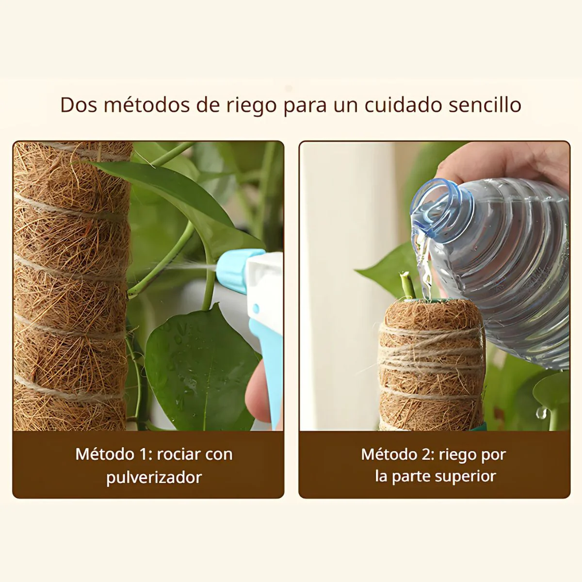 Poste De Fibra De Coco Natural 52Cmx12cm Para Plantas Trepadoras (Unidad). Poste De Musgo.Tutor Ideal Para Enderezar Y Guiar Plantas. - Image 4