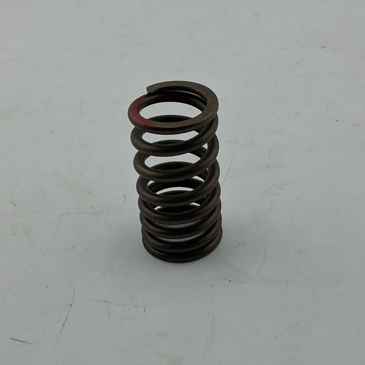 Resorte De Valvulas (TNT150I) VALVE SPRING