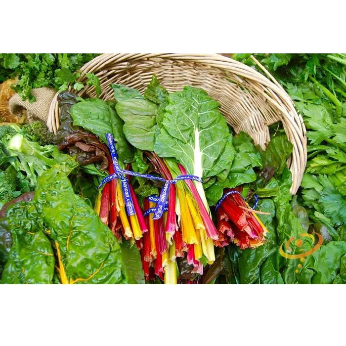 Semillas De Acelga Arcoíris Suiza (100% Heirloom/No Híbrido/No GMO). 25 Semillas Aproximadamente - Image 3