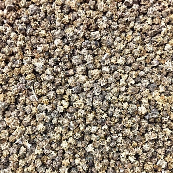 Semillas De Acelga Rosada Suiza (100% Heirloom/No Híbrido/No GMO). 25 Semillas Aproximadamente - Image 2