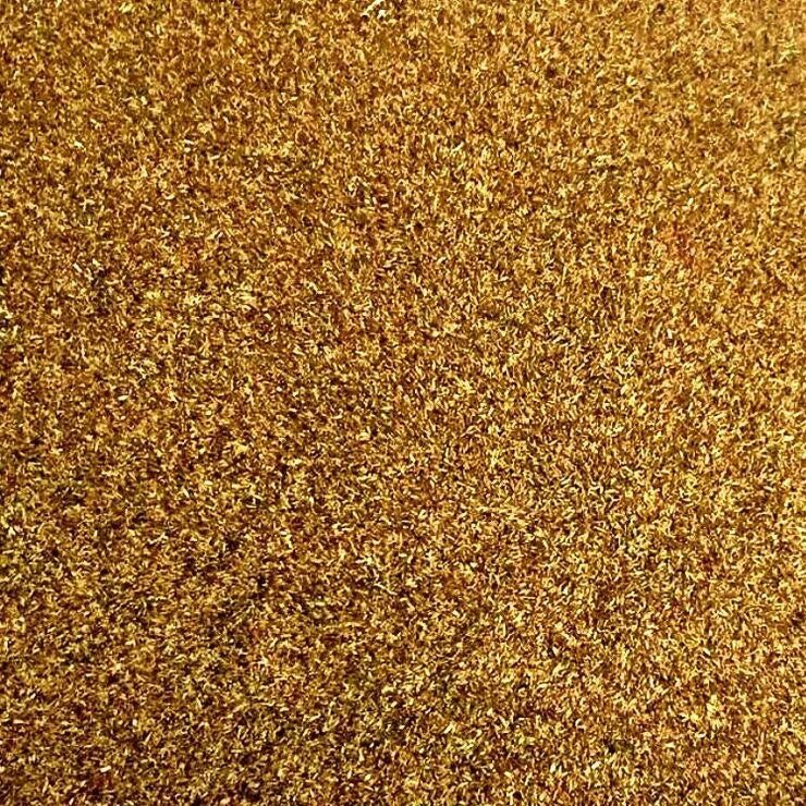 Semillas De Ajenjo, Hierba Medicinal (100% Heirloom / No Híbrido / No GMO). 300 Semillas Aprox. - Image 2