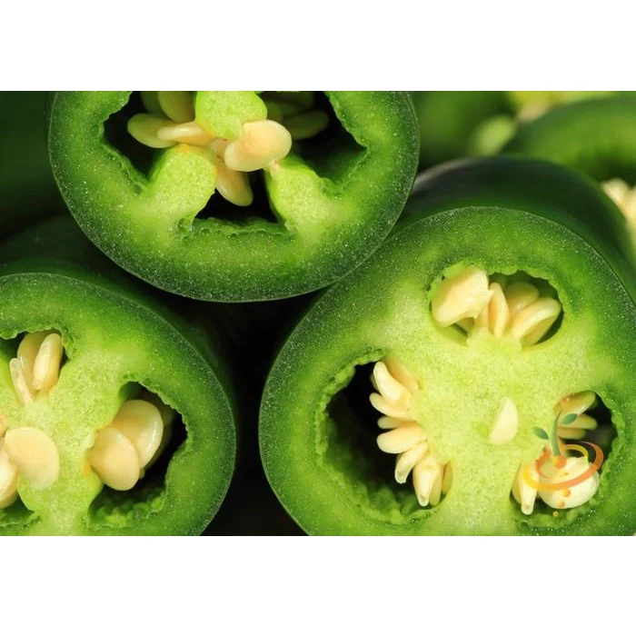 Semillas De Aji (HOT) Early Jalapeño (100% Heirloom/No Híbrido/No GMO). 15 Semillas Aproximadamente. - Image 3
