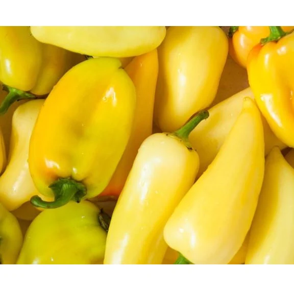Semillas De Aji (HOT) Caloro (100% Heirloom/No Híbrido/No GMO). 10 Semillas Aproximadamente - Image 2