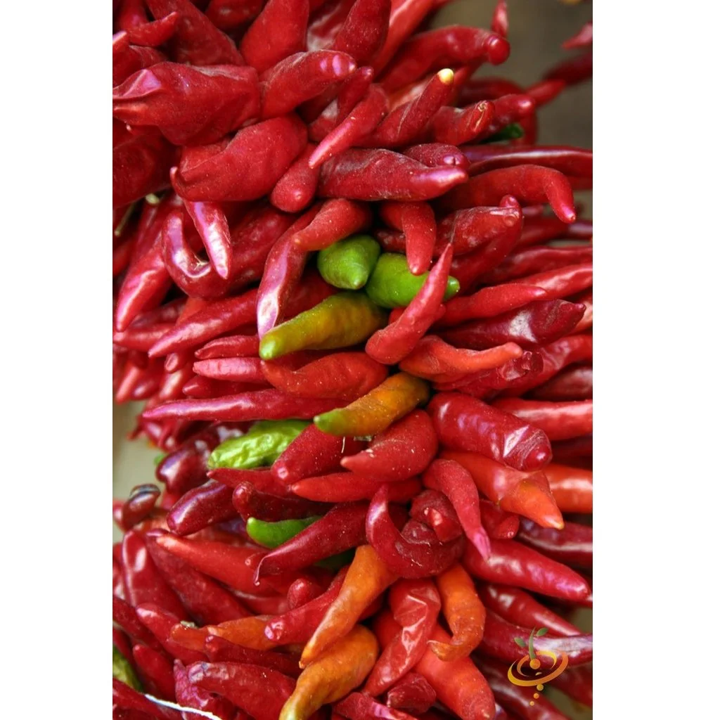 Semillas De Aji (HOT), Santa Fe Grande (100% Heirloom / No Híbrido / No GMO). 10 Semillas Aprox. - Image 3