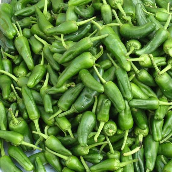 Semillas De Aji Picante Ligero, Ancho Grande (100% Heirloom/No Híbrido/No GMO). 10 Semillas Aprox. - Image 2