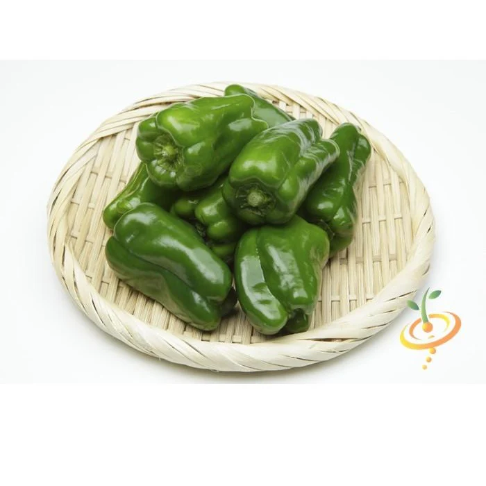 Semillas De Aji Picante Ligero, Ancho Grande (100% Heirloom/No Híbrido/No GMO). 10 Semillas Aprox. - Image 4