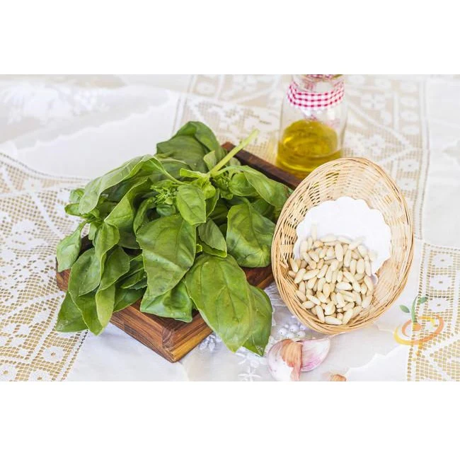 Semillas De Albahaca, Lima (100% Heirloom/No Híbrido/No GMO). 60 Semillas Aproximadamente. - Image 3