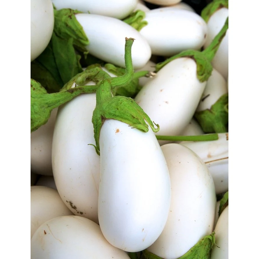 Semillas De Berenjena, Casper Blanco (100% Heirloom/No Híbrido/No GMO). 10 Semillas Aproximadamente. - Image 4