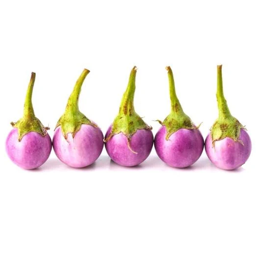 Semillas De Berenjena, Malva Redonda (100% Heirloom/No Híbrido/No GMO). 10 Semillas Aproximadamente. - Image 3