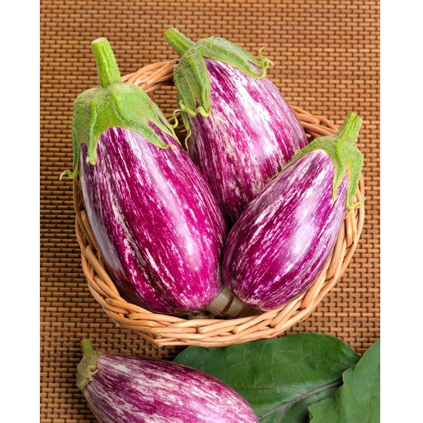 Semillas De Berenjena, Pandora (100% Heirloom/No Híbrido/No GMO). 10 Semillas Aproximadamente. - Image 6