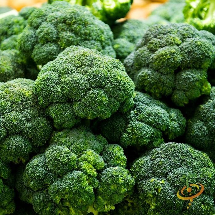 Semillas De Brocoli, Calabrese (100% Heirloom/No Híbrido/No GMO). 50 Semillas Aproximadamente. - Image 6