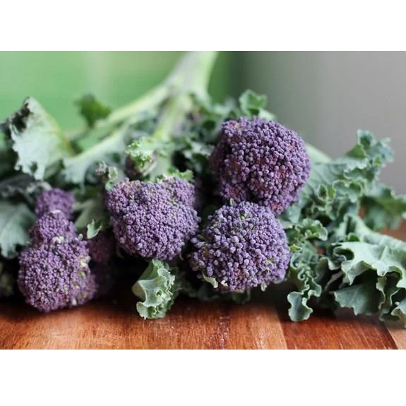 Semillas De Brocoli Morado (100% Heirloom/No Híbrido/No GMO). 20 Semillas Aproximadamente. - Image 6