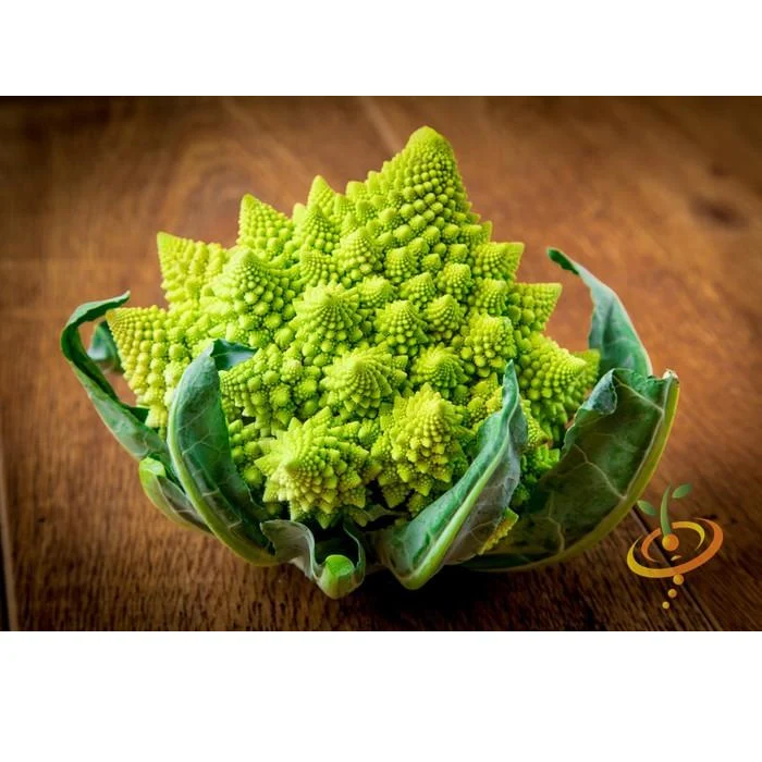 Semillas De Brocoli, Romanesco Italia (100% Heirloom/No Híbrido/No GMO). 60 Semillas Aproximadamente - Image 2