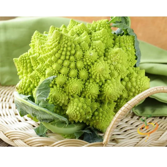 Semillas De Brocoli, Romanesco Italia (100% Heirloom/No Híbrido/No GMO). 60 Semillas Aproximadamente - Image 4