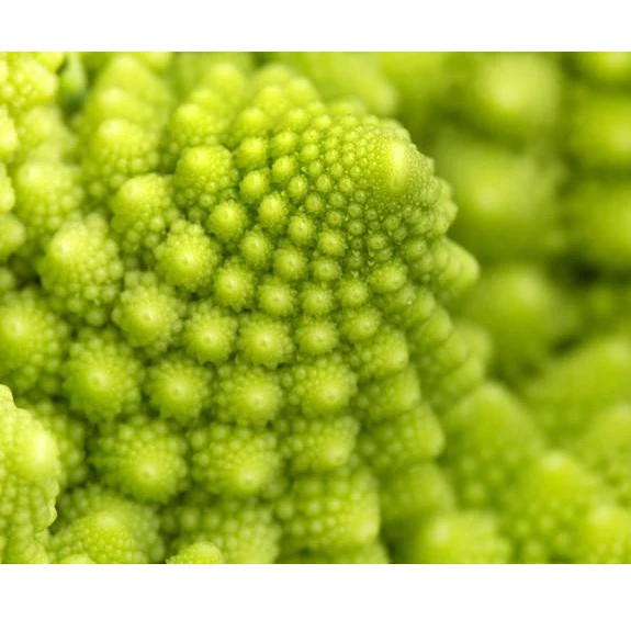 Semillas De Brocoli, Romanesco Italia (100% Heirloom/No Híbrido/No GMO). 60 Semillas Aproximadamente - Image 5