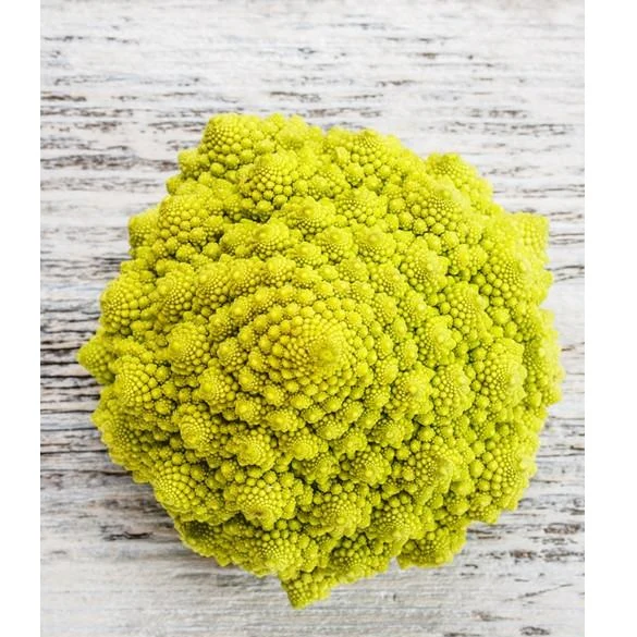 Semillas De Brocoli, Romanesco Italia (100% Heirloom/No Híbrido/No GMO). 60 Semillas Aproximadamente - Image 6