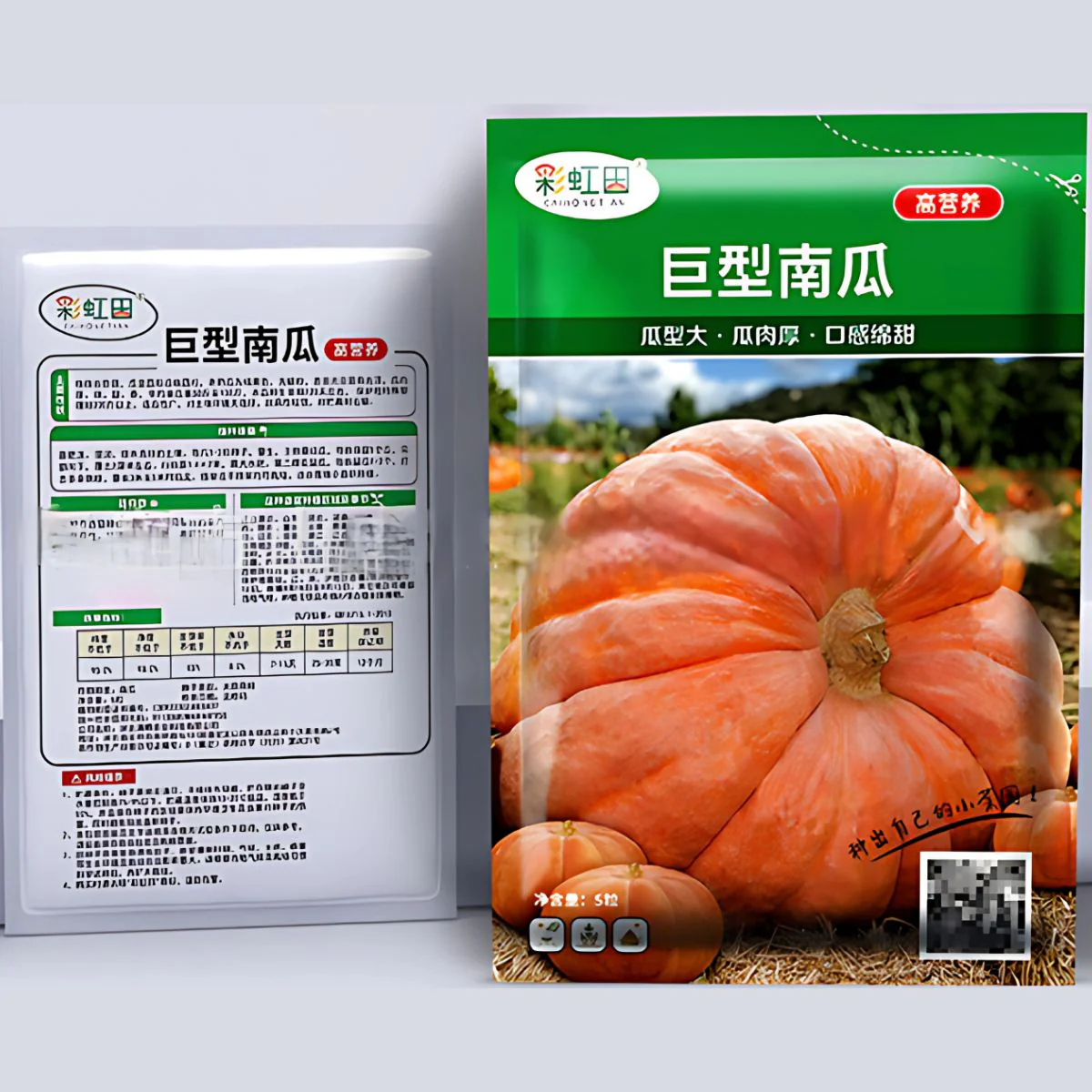 Semillas De Calabaza Gigante. (5 Semillas). Pack De Semillas Para Jardinería Y Huertos. - Image 3