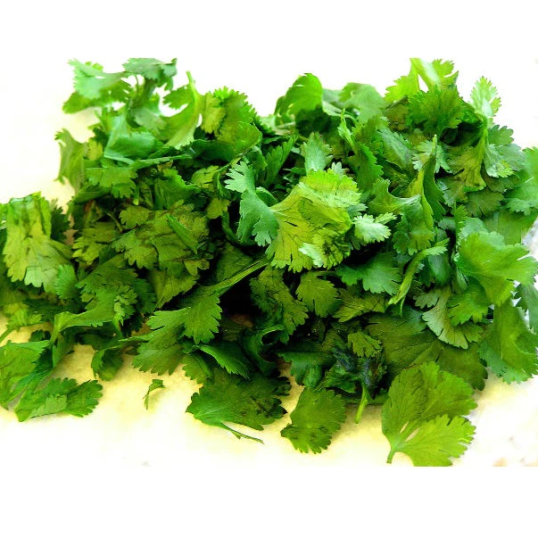 Semillas De Cilantro (100% Heirloom/No Híbrido/No GMO). 500 Semillas Aproximadamente. - Image 5