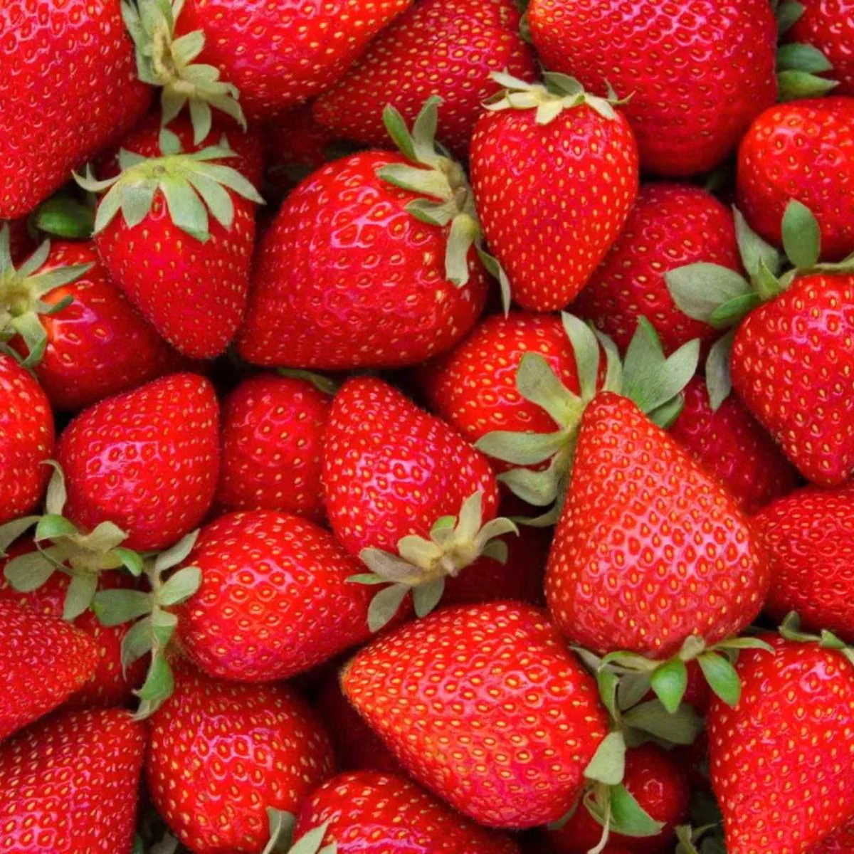 Semillas De Fresas Rojas. (20 Gramos). Pack De Semillas De Fresas. - Image 2