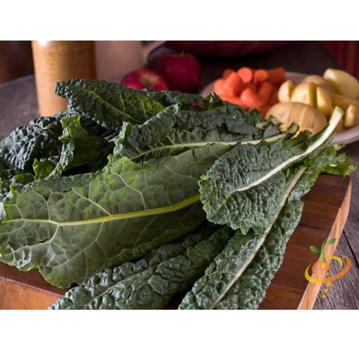 Semillas De Kale (100% Heirloom/No Híbrido/No GMO). 55 Semillas Aproximadamente. - Image 3