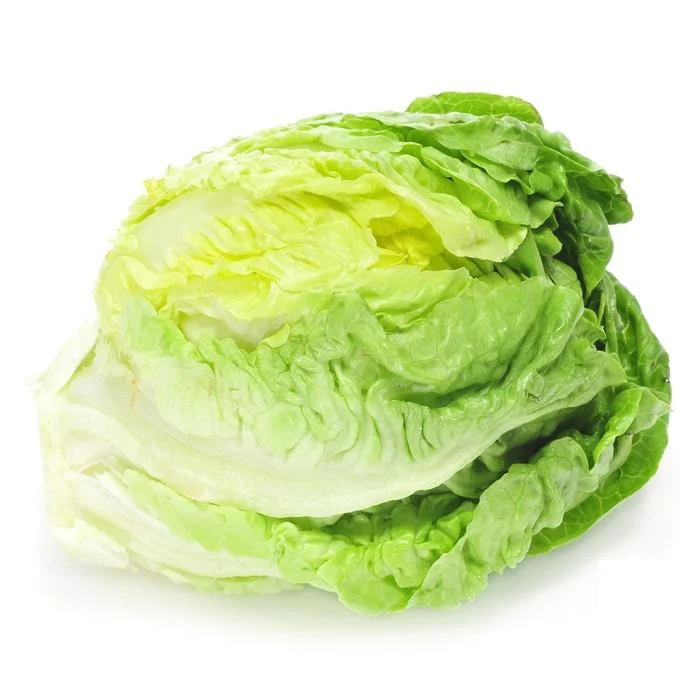 Semillas De Lechuga, Crisphead (100% Heirloom/No Híbrido/No GMO). 190 Semillas Aproximadamente. - Image 4